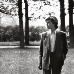 David Sylvian
